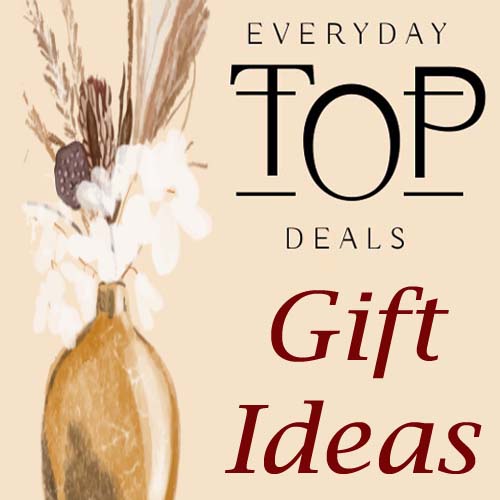 Everyday Top Deals Gift Ideas